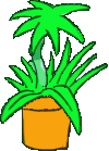 a nice plant
